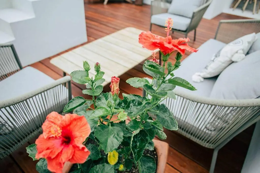 Romantic Roof Top Penthouse! Bbq And Priv. Pool Tulum Apartment